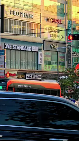tebak kota? ada yang pernah kesini😄    #korean #pmikorea🇮🇩♡🇰🇷 #koreanvibes #tkikorea🇰🇷🇮🇩 #pejuangwon🇰🇷🇲🇨 #foryoupage #foryou #fypage #gtogkoreaselatan🇲🇨🇰🇷 