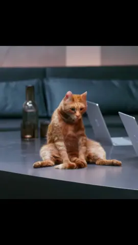 The escape pod doesn't have enough compressed cat packs to make up for it #fyp #fypシ #movie #film #foryou #viraltiktok #viralvideo #tiktok #filmcommentary #movieexplained #tvshowrecap #underrated #mustwatch #ScienceFiction #Sci - FiMovies #Cyberpunk #EpicSciFi 