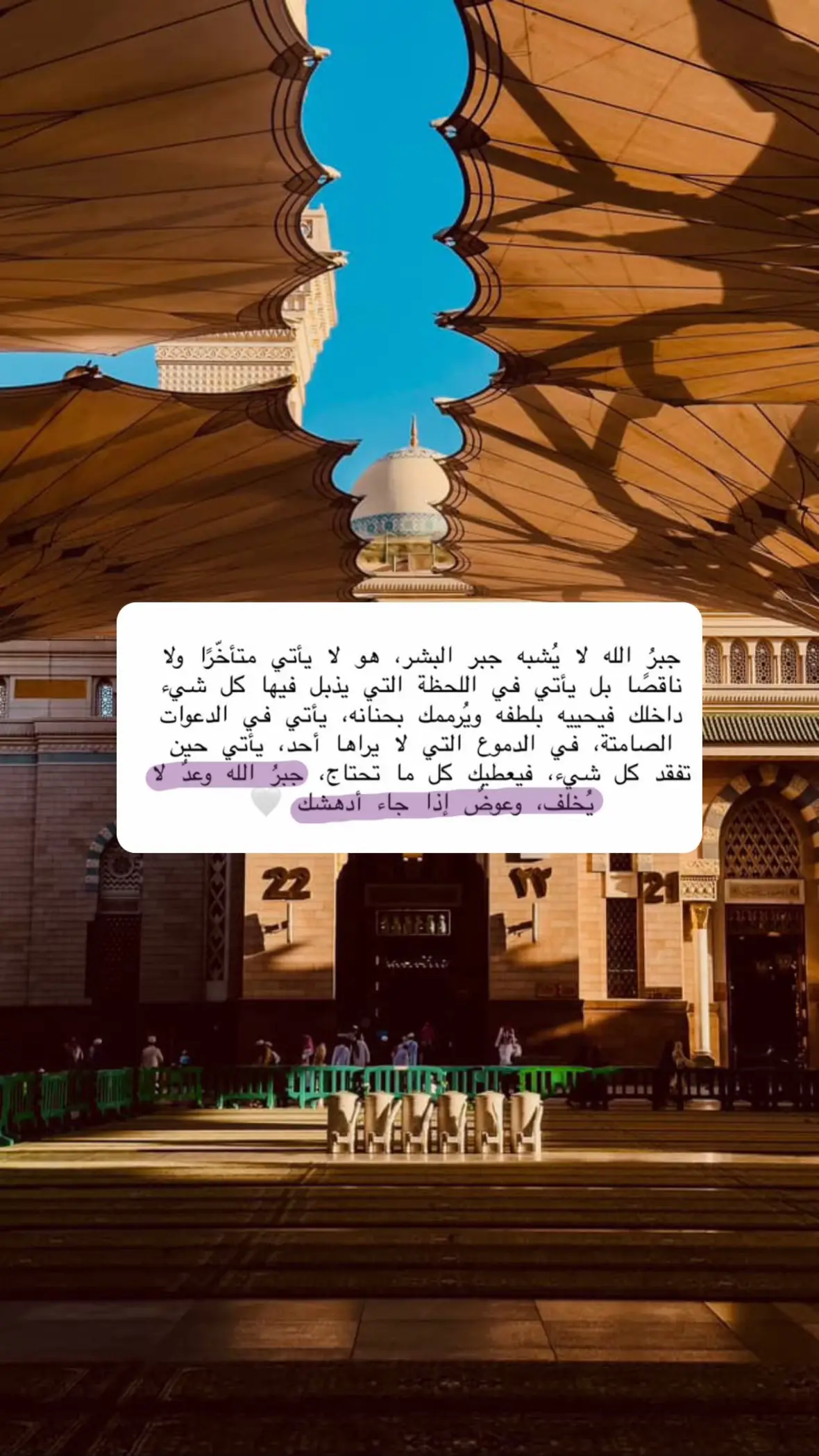 #المسجد_النبوي #متطوعة_المدينة #pypシ #يارب #المدينةالمنورة 