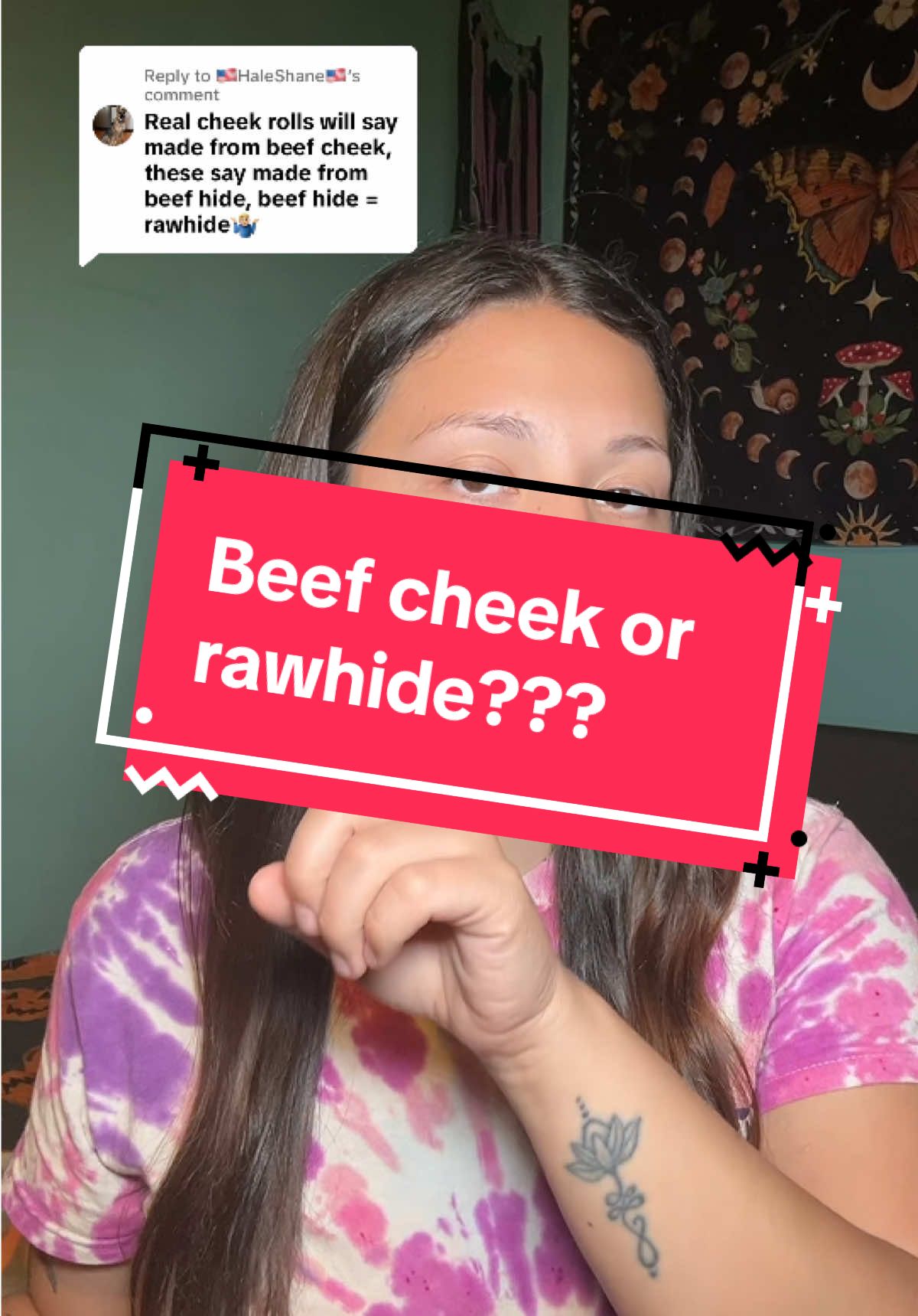 Replying to @🇺🇸HaleShane🇺🇸 I’ve stopped using those beef cheeks rolls in the previous video. I now use these from @Wild Wolf Bully Sticks ! Made from beef cheek. #beefcheekrolls #dogchews #longlastingdogchews #wildwolf 