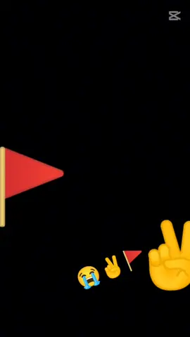 miss you yar        Afzal   😭✌️🚩 #bagghi #shahnawaz #viralvideo #🎌🚩🚩🚩🚩🚩🚩🚩🚩🚩✌️✌️✌️ #bagghi 