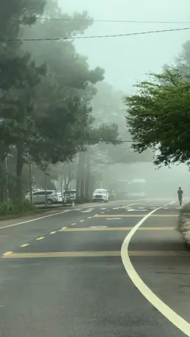 Sáng sương mù, trời như khoác chiếc áo len trắng mỏng, mọi thứ trở nên dịu dàng và tĩnh lặng.. 𝑷𝒉𝒐𝒕𝒐 & 𝑻𝒐𝒖𝒓: 𝐃𝐮 𝐥𝐢̣𝐜𝐡 𝐓𝐚̂𝐲 𝐍𝐠𝐮𝐲𝐞̂𝐧 🚘 𝐋𝐚́𝐢 𝐱𝐞 đ𝐢̣𝐚 𝐩𝐡𝐮̛𝐨̛𝐧𝐠 & 📸 𝐏𝐡𝐨𝐭𝐨 🚘 Đưa đón sân bay Peiku - Măng Đen 👌 𝐓𝐮̛ 𝐯𝐚̂́𝐧 𝐡𝐨𝐦𝐞𝐬𝐭𝐚𝐲  📸 𝐓𝐮̛ 𝐯𝐚̂́𝐧 𝐥𝐢̣𝐜𝐡 𝐭𝐫𝐢̀𝐧𝐡 - 𝐜𝐡𝐮̣𝐩 𝐡𝐢̀𝐧𝐡 𝐟𝐫𝐞𝐞 👌 𝐓𝐮̛ 𝐯𝐚̂́𝐧 𝐚̆𝐧 𝐮𝐨̂́𝐧𝐠 đ𝐚̣̆𝐜 𝐬𝐚̉𝐧 đ𝐢̣𝐚 𝐩𝐡𝐮̛𝐨̛𝐧𝐠  _______________________ 📞 : 0357.245.666 ( Lᴀ́ɪ xᴇ ᴋɪᴇ̂ᴍ ᴄʜᴜ̣ᴘ ᴀ̉ɴʜ ᴠᴀ̀ Nɢᴜ̛ᴏ̛̀ɪ ᴅᴀ̂̃ɴ đᴜ̛ᴏ̛̀ɴɢ ᴛʜᴀ̂ɴ ᴛʜɪᴇ̣̂ɴ ) 𝐂𝐡𝐮𝐲𝐞̂𝐧 𝐗𝐞 𝟒 - 𝟕 - 𝟏𝟔 𝐂𝐡𝐨̂̉ ❤️Hãy để tôi kể cho bạn nghe về nơi tôi sống…!
