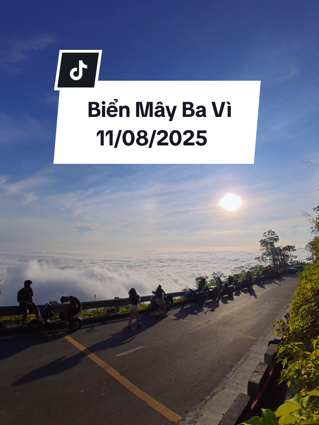 Rời thành phố lên Ba Vì ngắm mây 11/08/2025 đi cả nhà ______ #vuonquocgiabavi #sanmaybavi #thodiabaviofficial #thodiabavi #sanmaybavi 