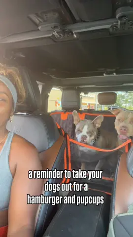 it’s the little things - but it means so much to them 🥹 #dogs #dogsoftiktok #puppy 