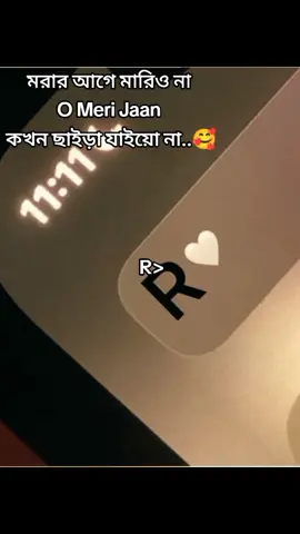 কখনো ছাইড়া যাইয়ো না#CapCut 