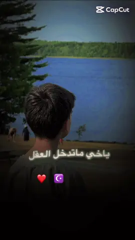 هل تصلي؟#explorer #مشاهدات_تيك_توك #الشعب_الصيني_ماله_حل 😂😂#fyp #مشاهدات ❤️❤️☪️