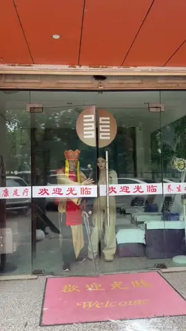 Sư Fu bị úp sọt#tayduky #xuhuong 