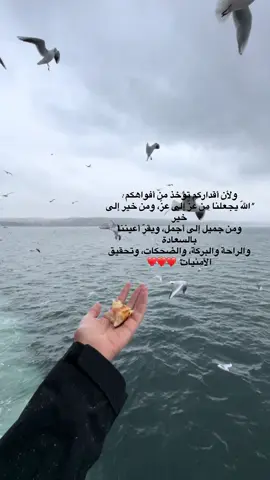 ياكريم #لايك__explore___ #هشتاقاتي_الترند_المشهور #مالي_خلق_احط_هاشتاقات 