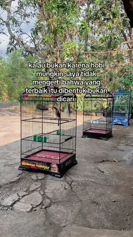 pelajaran terbaik adalah kegagalan,dan ilmu terbaik adalah pengalaman 😇 #fyp #sadstory #cendetmaniaindonesia #cendet #beranda 