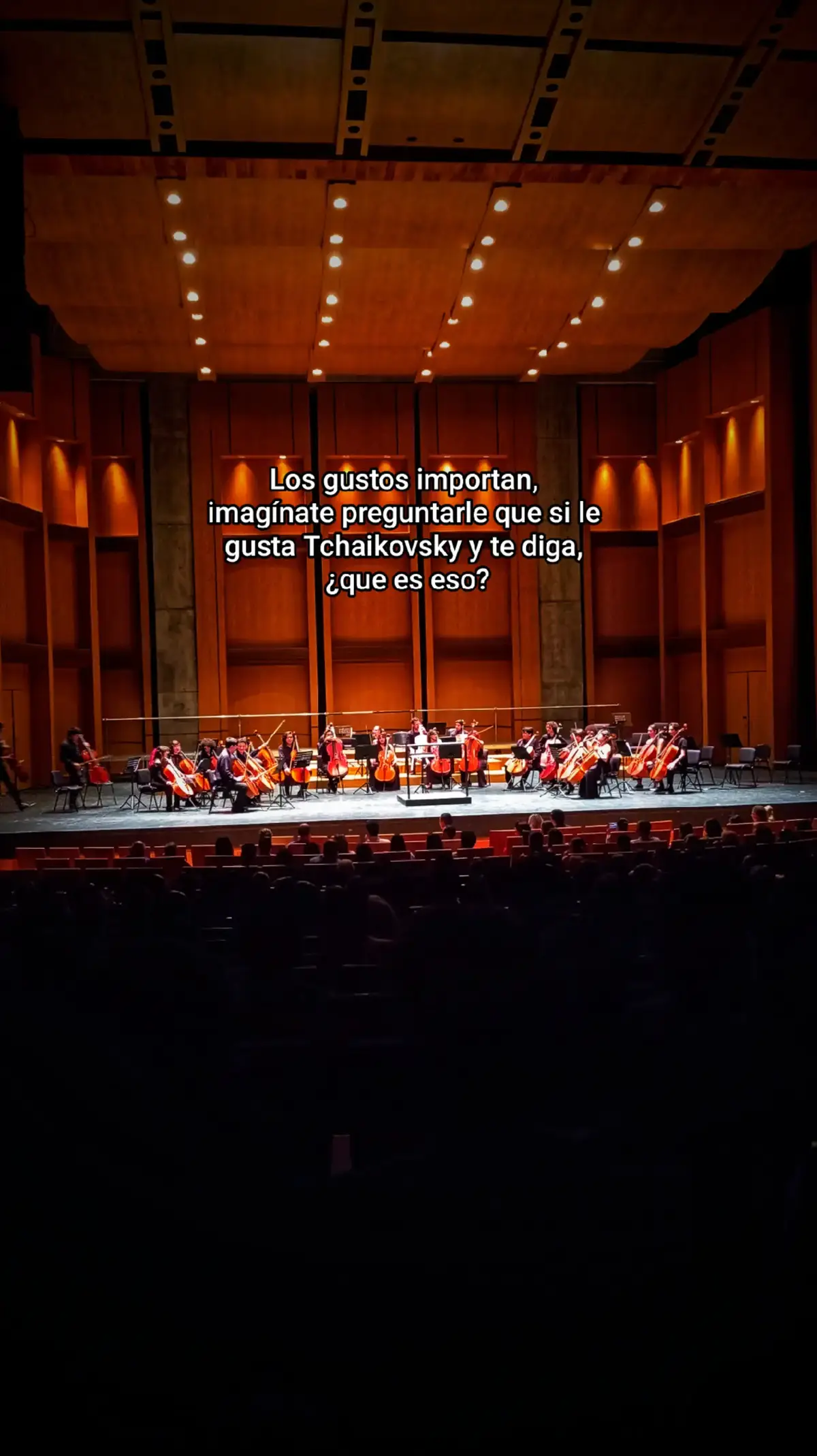 #fyp #foryou #tchaikovsky #musicaclasica #clasica 