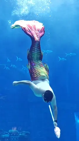 #xuhuong #videohaihuoc #haihuoc #vuinhon #foryou #fyp #viral #cute #funny #fpyシ #trending 
