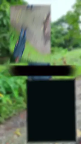 #CapCut 