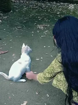 .......😻🤍........