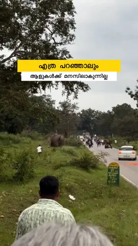 🚫 എത്ര പറഞ്ഞാലും ചിലർ കേൾക്കില്ല! 🌳 കാട്ടിൽ ഇറങ്ങരുത് എന്ന് മുന്നറിയിപ്പ് നൽകിയിട്ടും… 📍 10.08.2025 – ബന്ധിപുർ റൂട്ടിൽ ഫോട്ടോ എടുക്കാൻ ഇറങ്ങിയ ഒരാളെ കാട്ടാന ചവിട്ടുന്ന ദൃശ്യം. ⚠️ Wildlife areas-ൽ safety rules അവഗണിക്കരുത് – ജീവൻ വിലപ്പെട്ടതാണ്! #Bandipur #WildlifeWarning #ElephantAttack #TravelSafety #NatureRespect #KeralaTravellers #WildlifeConservation #TravelWithFabi #WanderMalayali #ForestRules #TravelSafetyFirst #ElephantEncounter #NaturePhotography #BandipurWildlife #TravelWarning