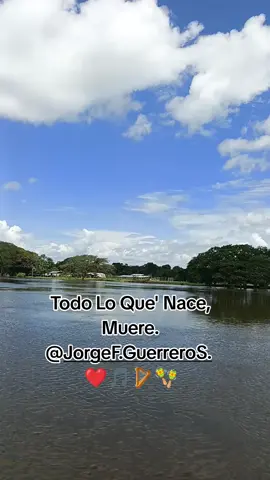 #rioportuguesavenezuela🇻🇪 #paratiiiiiiiiiiiiiiiiiiiiiiiiiii #Jorgefguerreros🤠🇻🇪🐎 #fyppppppppppppppppppppppp #monteyculebra🌿💚🐍 #llanovenezolano🇻🇪 #apollando #folklorllanero #videoviralparaelmundo🌎♥️ #apoyeme😊❤  #videollaneros🤠 #minundogiracontigollanovenezolano 