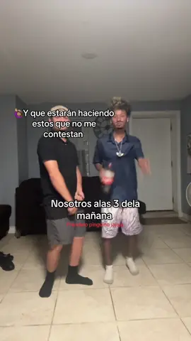 Préndelo pingüino #viral #fyp #humor #3am 