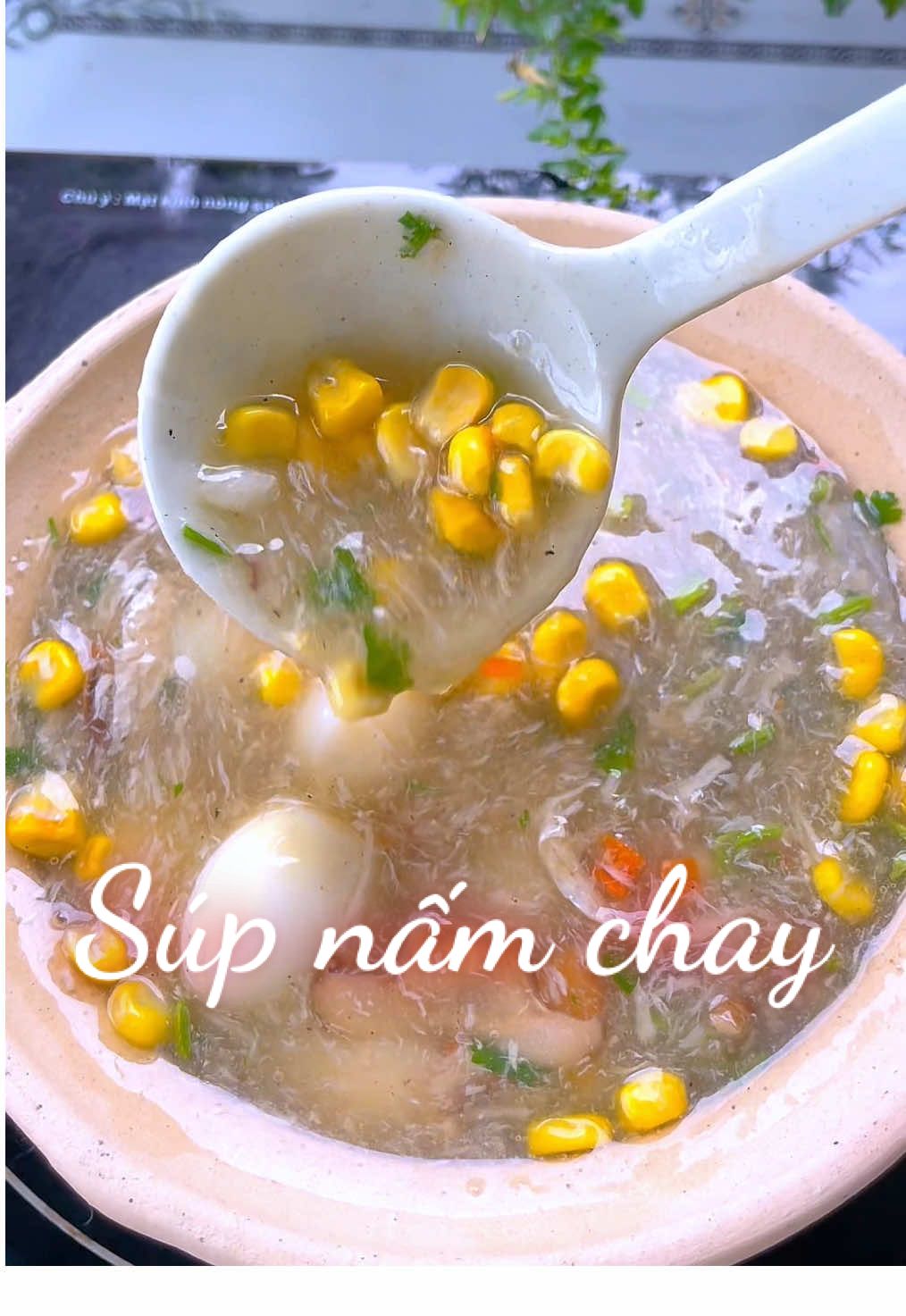 Súp nấm chay iíoup. Chưa bao giờ mà em thấy nấu súp nó dễ dậy luôn Á mọi người #bepbaduong #anvat #viral #LearnOnTikTok #anvatcungtiktok #monngonmoingay #comngon #sup #supchay #supngon #isoup #supnamchay #monchay 