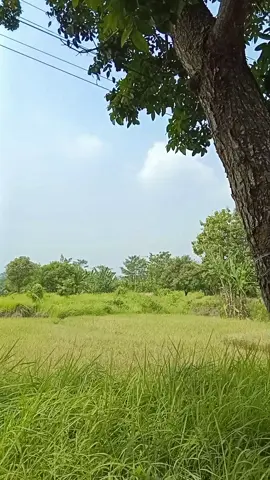 pemandangan yang asri #sonisoni #mohabbatein  #sarukhkhan  #pecintabollywood  #boliwoodsong 
