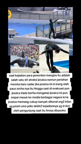 #facts #jessica #dolphinshow #dolphin #rip #incident #seaworld #masukberanda #fypdong