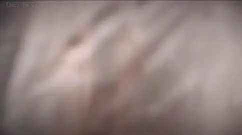 What would you do? Credit- life of luxury on YouTube  . . .  #reels #jumpscare #fear #screaming #creepyvibes #scaryvideo #spookyvibes                          