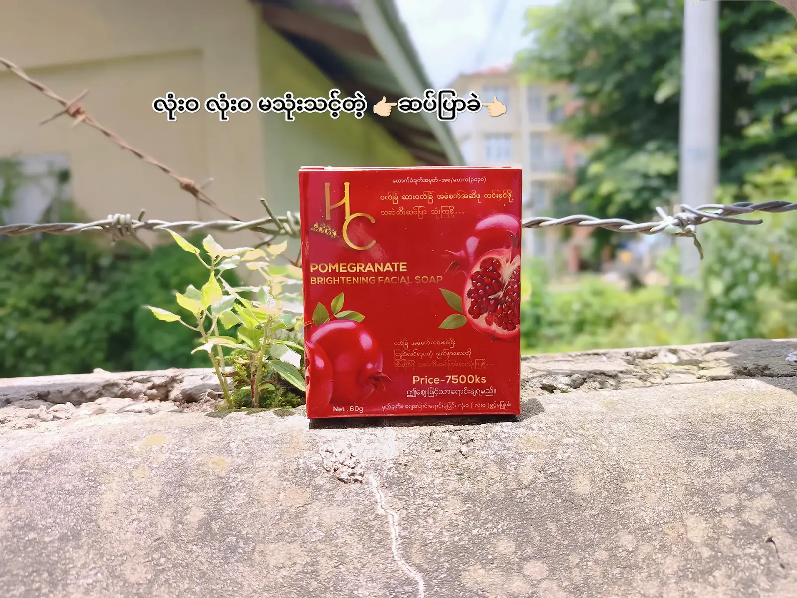 #hc #သလဲသီးမျက်နှာသစ်ဆပ်ပြာ❤️ #ပြင်ဦးလွင် #အိမ်ရောက်ငွေချေနဲ့ပို့ပေးပါတယ် #tiktokupdate #သုံးဖူးသူတိုင်းကြိုက် @𝐓ᥫ᭡ @M💫 @🌸khîñg Ñäñ Wäí🦋 