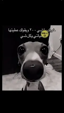 #fyp #رياكشن #سرعه #الخرج_الرياض 
