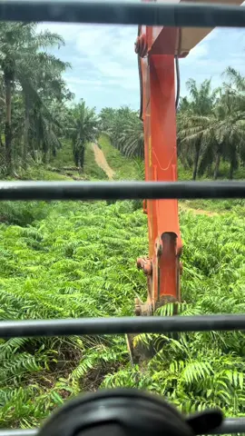 Perdana tumbang ciping selabak estet divisi 3