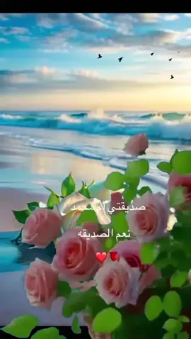 #اكسبلورexplore         صديقتي ام سعد الغاليه🌹🌹