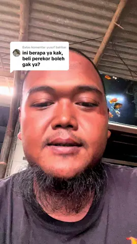 Membalas @yusuf bahtiar Info lainnya silahkan DM atau Join Channel Barokah Goldfish Farm di profile yah🫰 #barokahgoldfish #barokahgoldfishfarm #barokahstyle #goldfish #goldfishlover #ranchugoldfish #orandagoldfish #ikanmaskoki #maskoki #indonesiangoldfish #pet #ikanlucu #cuteanimals 