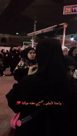 احنه الأجلى حسين#كربلاء #محرم #ياحسين #مشايه_الأربعين #مشايه #بصره 