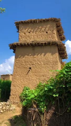 Rural real village life of tirah valley  : #foryoupage #foryouu #viralvideo #growaccount #unfreezeaccount #sannu_afridi55 #tirahvalley  #تیراہ #امن 