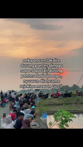 #tulungagung24jam @KOPI PINGGIR SAWAH REAL 