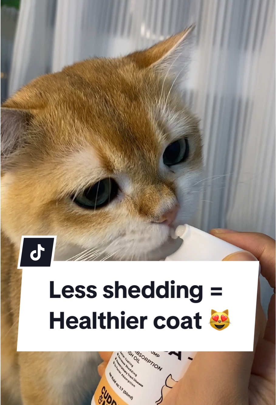Get this Creamy Fish Oil Pump to avoid shedding 🐾
