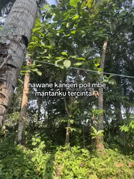 mbalik iso ra?🥺