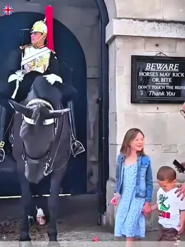 Different choices #unitedkingdom🇬🇧 #reaction #kingsguard #horseguardsparade #usa🇺🇸 