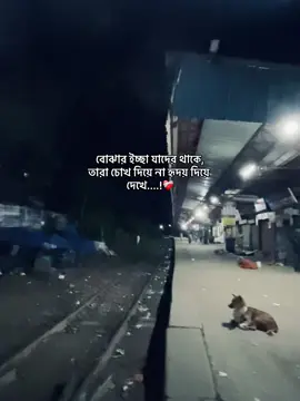 বোঝার ইচ্ছা যাদের থাকে, তারা চোখ দিয়ে না হৃদয় দিয়ে দেখে....!❤️‍🩹#viraltiktok #tending #sadcaption #foryoupage 