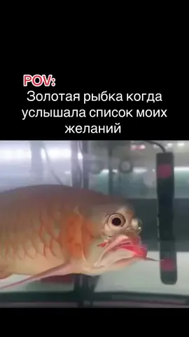 Шок