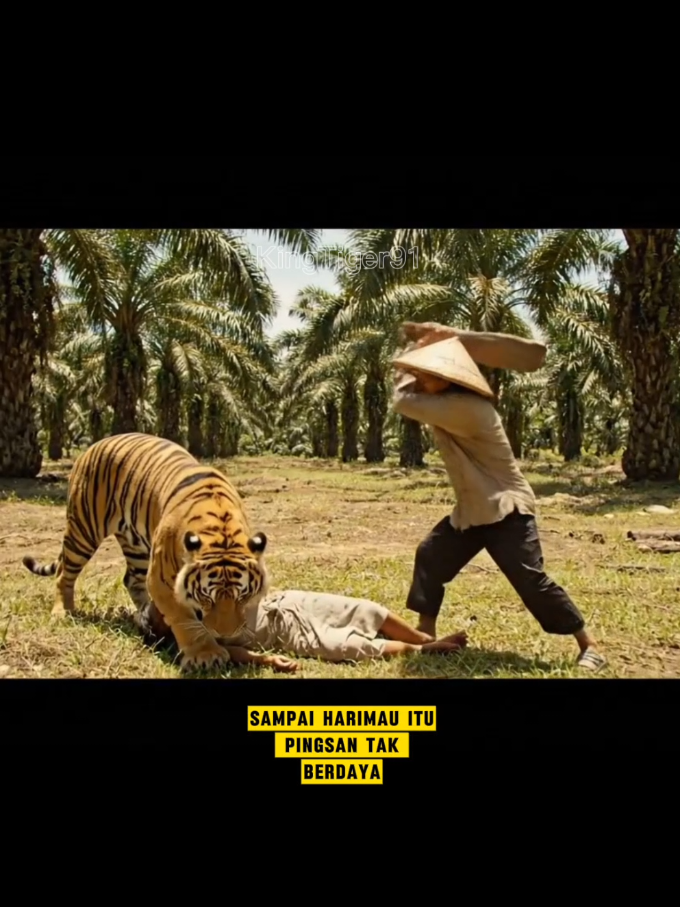 pekerja sawit di terkam HARIMAU #animals #harimau #tiger #macan #harimausumatra #animals #viral #fyp #veo3 