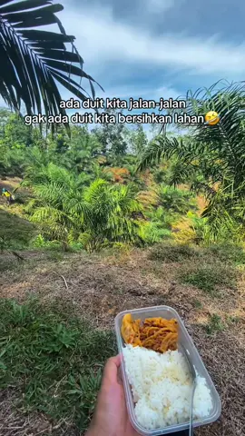 cocok bg?🤣 #fyp #foryou #petanisawit #petanimuda #petaniindonesia🇮🇩🇮🇩🇮🇩🌿🌿 