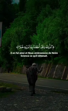 Chaque verset du Coran est une lumière qui éclaire le cœur et apaise l’âme. Écoutons, méditons… et laissons la Parole d’Allah nous guider #quran_alkarim #قرآن_كريم_راحة_نفسية #vira #quranrecitation #millionviewsvideo #fyp 