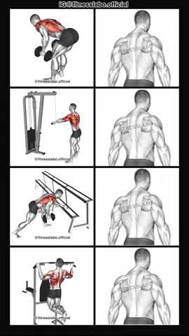 ✅ How to Build a Wider Back  ① Dumbbell Bent Over Row  ② Cable Straight Arm Pulldown  ③ One Hand Row  ④ Pull-up  3 sets 12-15 reps  #Fitness #gym #exercise  #workout #workoutroutine           