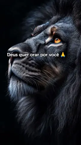 Bom Dia 🙏  #bomdia #biblia #oracao #deus #jesus 