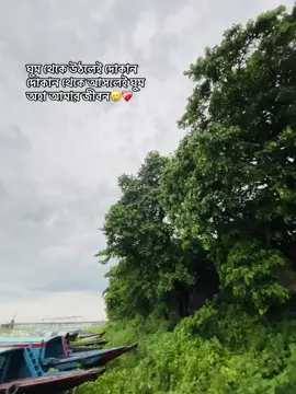 হৃম 💔#1millionaudition #everyone #highlight #unfrezzmyaccount #follower #fyppppppppppppppppppppppp #piu #piyas #foryou #foryoupage #fanpage #fanlove #fans #পাকৃতিক_দৃশ্য 