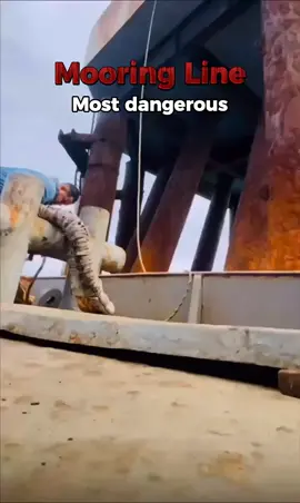 Mooring line strong🥶#northsea #bigship #mooringline #ocean #dangerous 