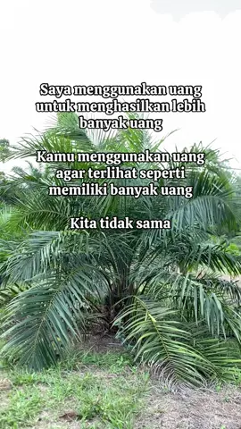 Beda cara menggunakannya saja #kulisawit #petanimuda #sawittiktok #sawittiktok #petanisawitsukses 