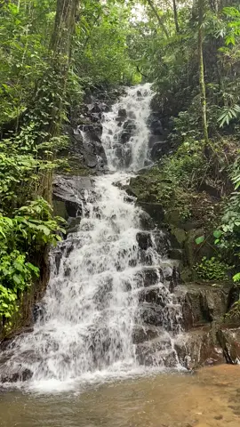 #fyp #airterjun #ironggolo_kediri #airterjunironggolobesuki #besuki #kediri 