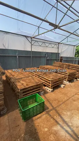 Limbah jadi cuan?? Emang iyaa bisa?? 🚀 UMKM dan produk lokal, saatnya naik kelas! Binco Ran Nusantara membuka kesempatan endorse untuk produk-produk berkualitas dari seluruh Indonesia. Dengan konten kreatif dan jangkauan luas, kami siap menjadi mitra promosi Anda. 📅 Waktu operasional: Senin - Jumat (08.00 - 16.00) 📞 Hubungi kami di: ‪‪‪+62 812-2123-1117 Bersama kita dukung produk lokal menjadi tuan rumah di negeri sendiri! 💪 Yuk, DM kita sekarang dan mulai kolaborasi seru ini! 😄 #usahamandiri #inspirasiusaha #bincorannusantara #serabutkelapasolo #kulitkelapa #coconutskin #limbah #sampah #gogreen #sabutkelapa #serabut #kelapa #ALLAHumma barik #cocobristel #olahankelapa #kelapaviral #olahansampah #cuandarisampah #cuan #belajarusaha #usahabaru #bisnisanakmuda #bisnispemula #inspirasibisnis #bisnisviral #idebisnis #idebisnisrumahan #idebisnisiburumahtangga 