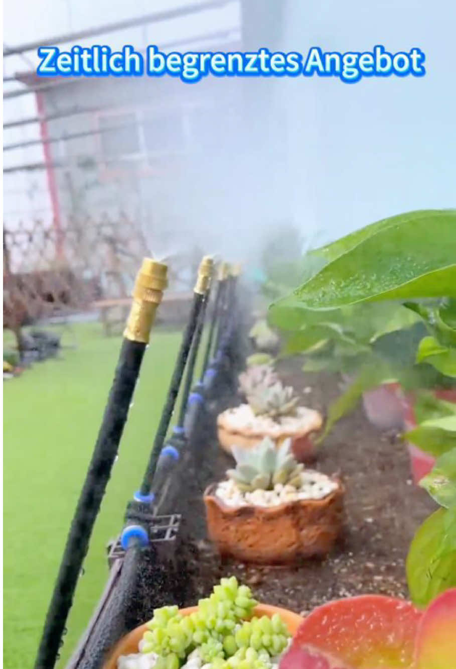 Fürs Gießen von Blumen reicht es, einfach den Wasserhahn aufzumachen - man braucht nur dieses Set ausrichtbaren Atomisierungsdüsen zu installieren. #AusrichtbareBlumenbewässerungsdüse #WunderwaffeZumBlumengießen #Hausgarten #Sukkulenten #fyppppppppppppppppppppppp #tiktokshop 