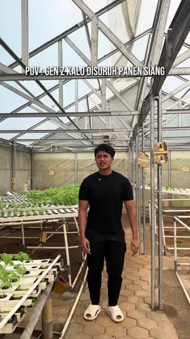gak ada alasan lagi pokoknya kalo manen di siang bolong! #willforeverbeyourgreens #farmlife #hidroponik #petanimilenial #petanimuda #sayuranhidroponik #tanamanhidroponik 