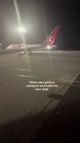 Hazır değilim 🥲🥲🥲 #türkiye #fly #uçak #gurbetçi #turkish #homecountry #🇹🇷 #foruyou #fyp #pourtoi #kesfet #furdich 
